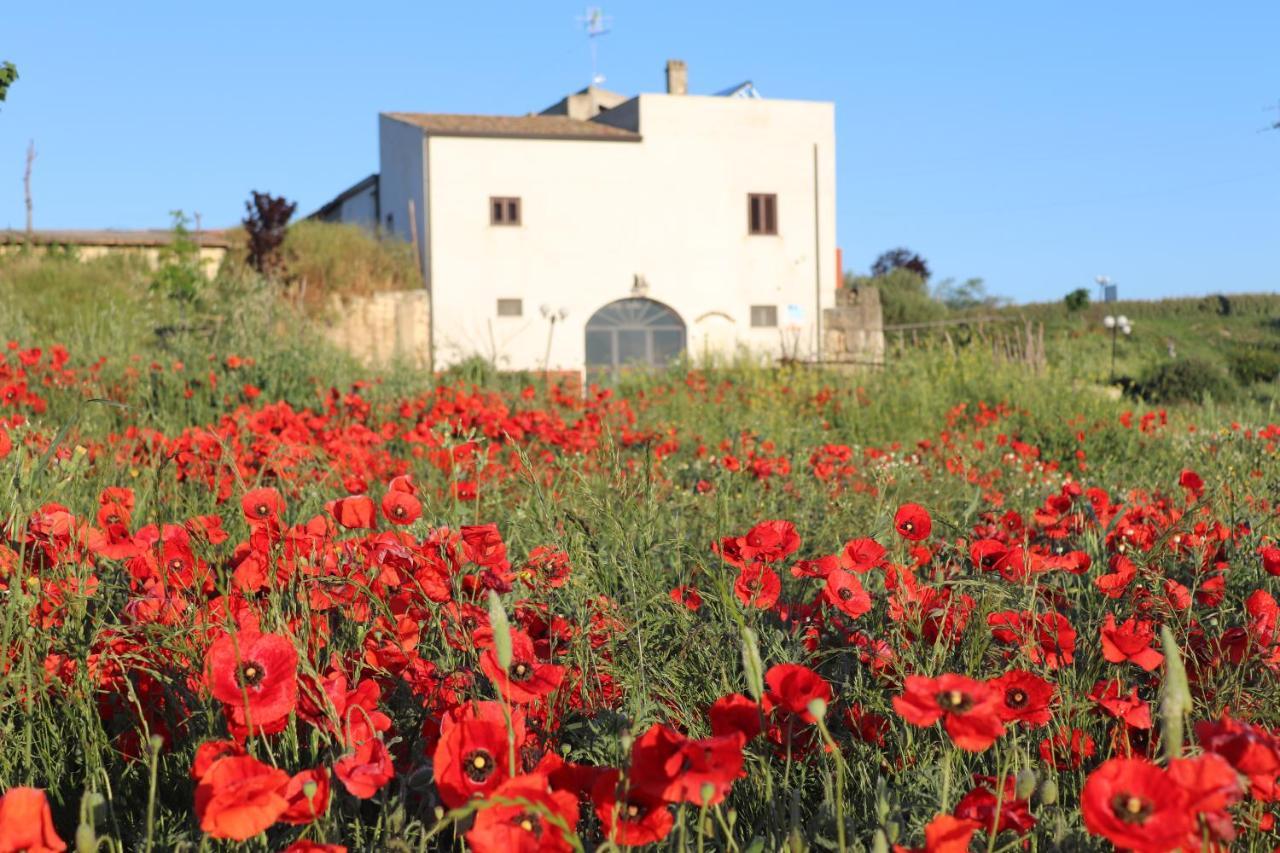 Masseria Agriturismo Moschella Posta Piana 외부 사진