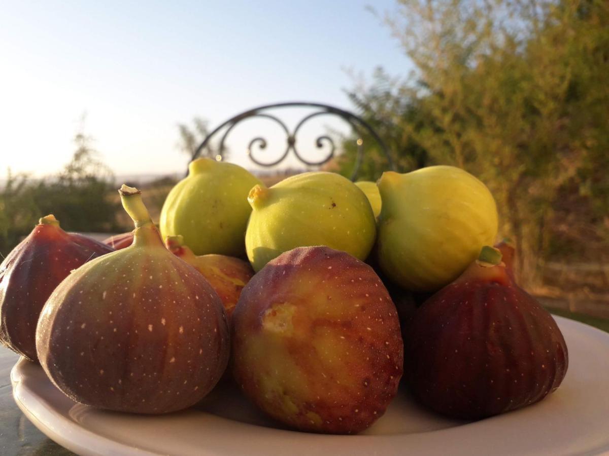 Masseria Agriturismo Moschella Posta Piana 외부 사진